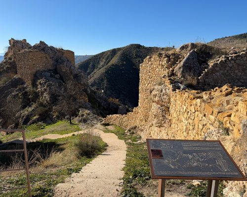 CastilloNazari (17)