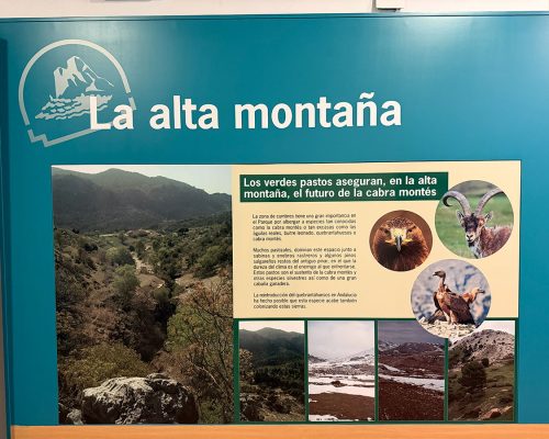 CentroVisitantes (14)