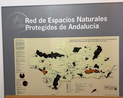CentroVisitantes (9)