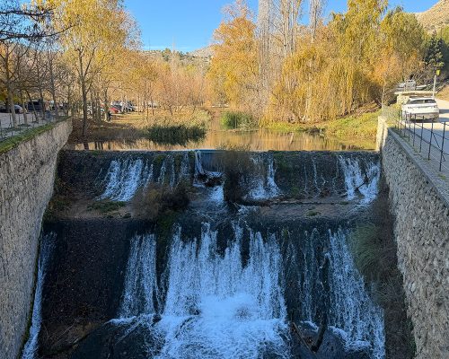 ParqueArboledaPerdida (1)