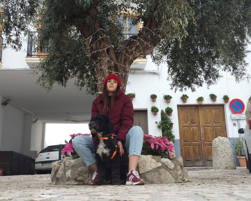 PlazaArbolGordo (2)