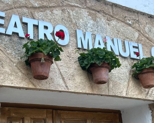 PlazaArbolGordo (7)