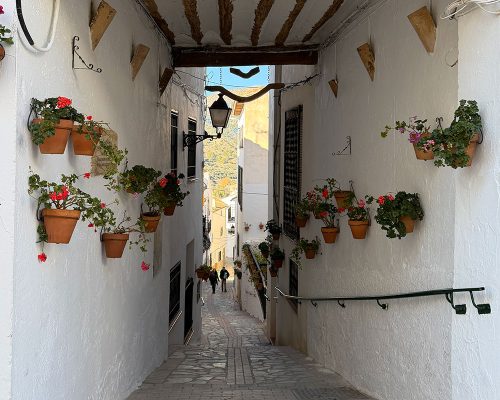 PlazaHernandoZafra (1)
