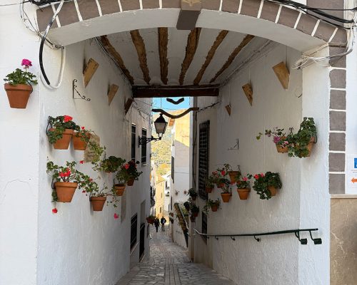 PlazaHernandoZafra (2)