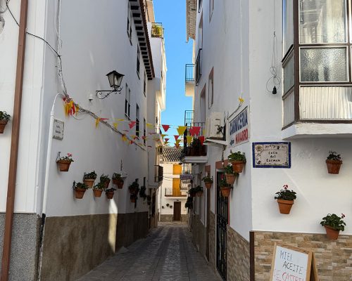 PlazaHernandoZafra (3)