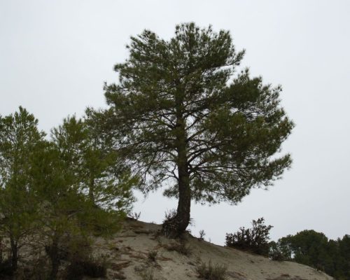 Sendero Cerrada del Lézar 03