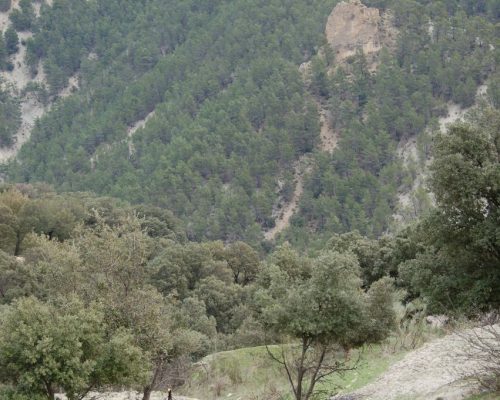 Sendero Cerrada del Lézar 04