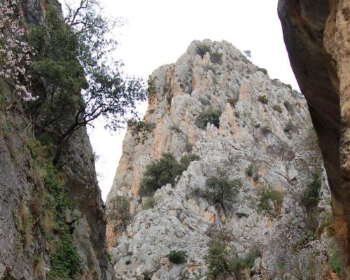 Sendero Cerrada del Lézar 08