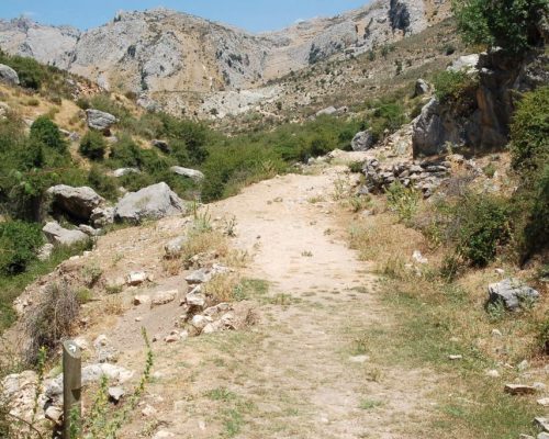 Sendero Prados del Conde 02