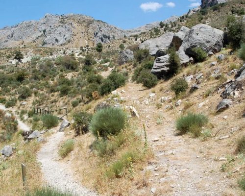 Sendero Prados del Conde 03