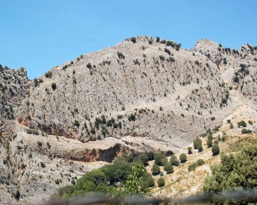 Sendero Prados del Conde 04
