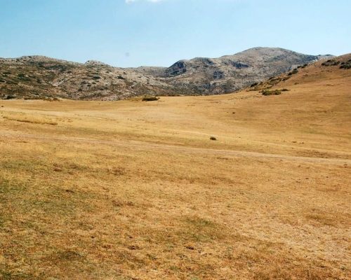 Sendero Prados del Conde 06