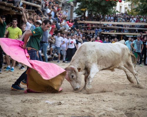 patronales_07