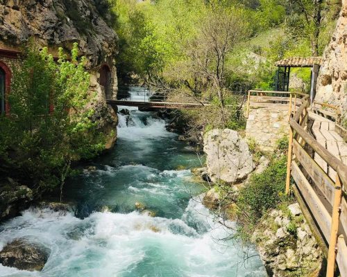 NATURALEZA5