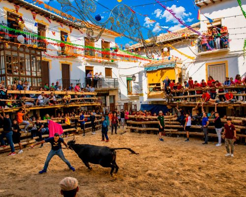 patronales_12