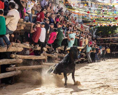 patronales_14